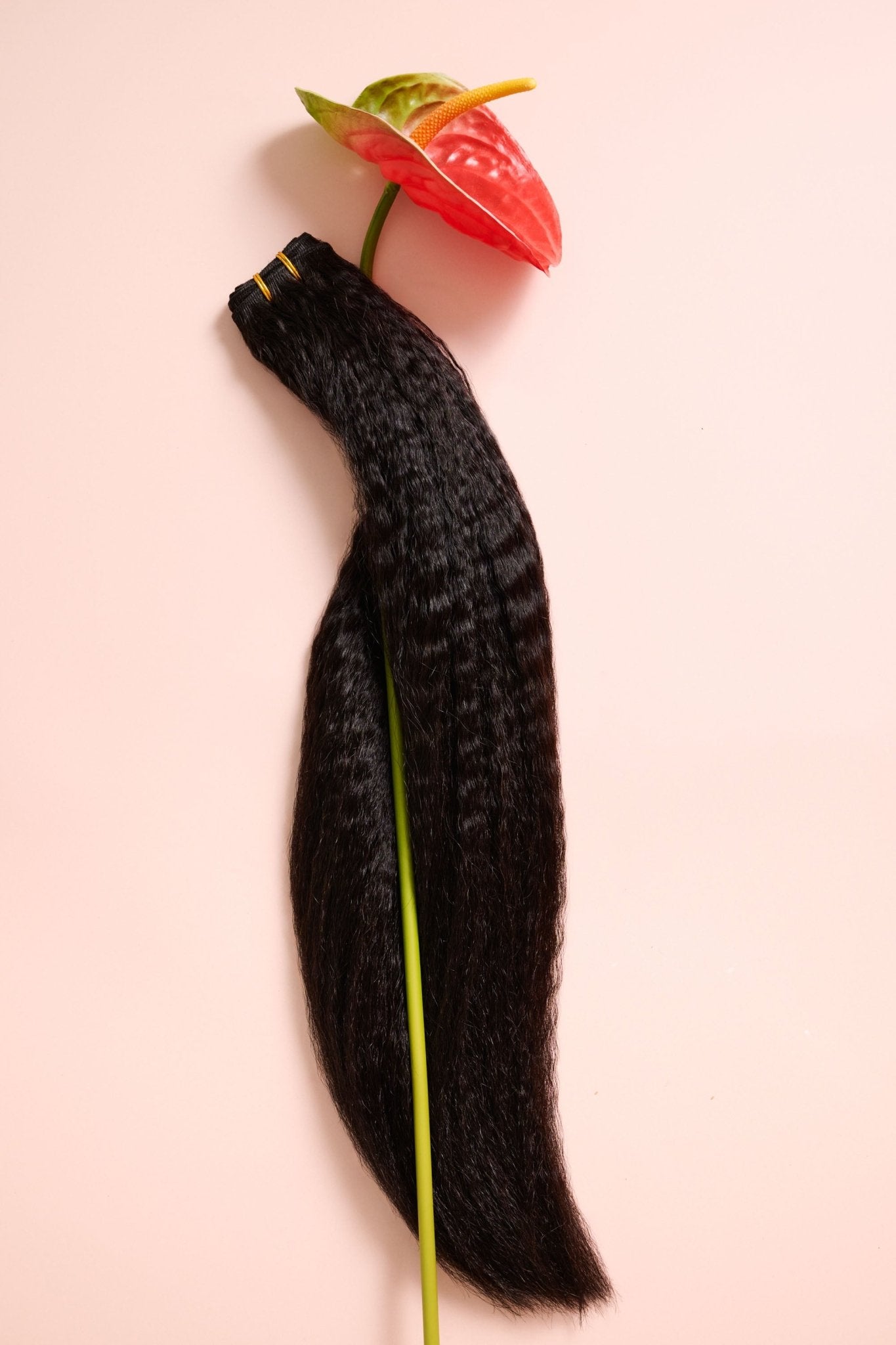 Amma's Blowout Bundle - Eve by Boz